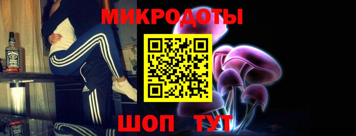 Минусинск  Галлюциногенные грибы прущие грибы  что такое   Псилоцибиновые грибы Psilocybe  Вход с VPN 